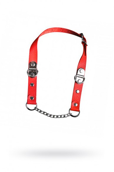 Кляп Sitabella красный, кожа